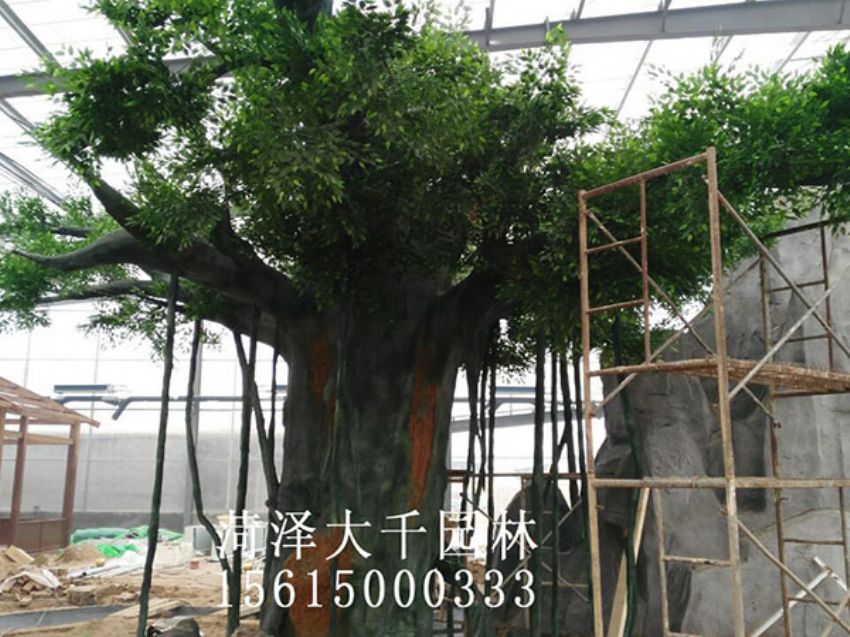 點擊查看詳細信息<br>標題：假樹 閱讀次數：1385