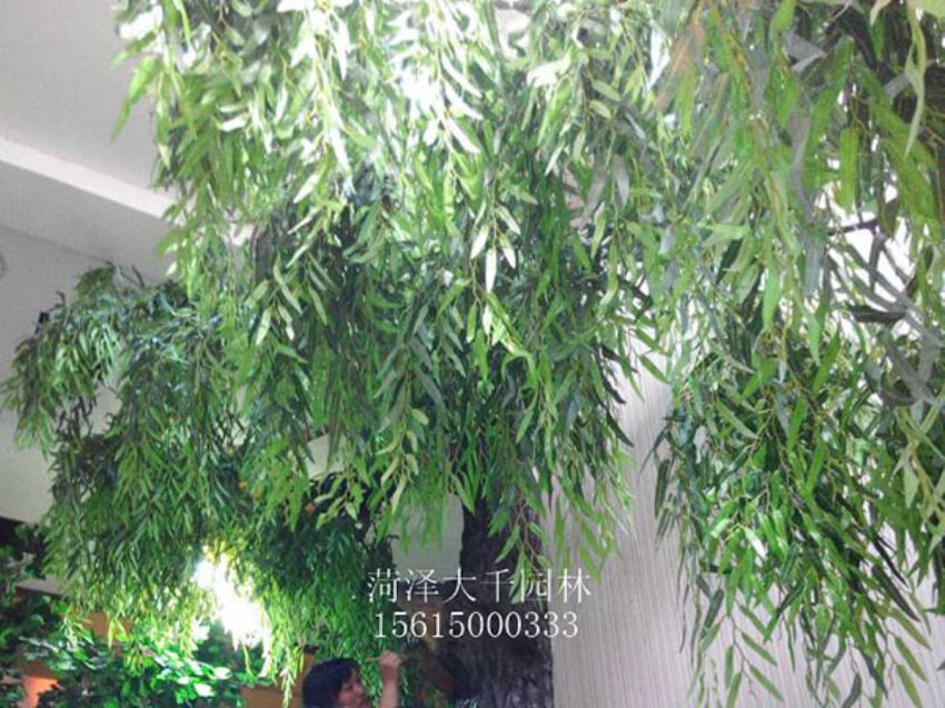 點擊查看詳細信息<br>標題：假樹 閱讀次數：1318