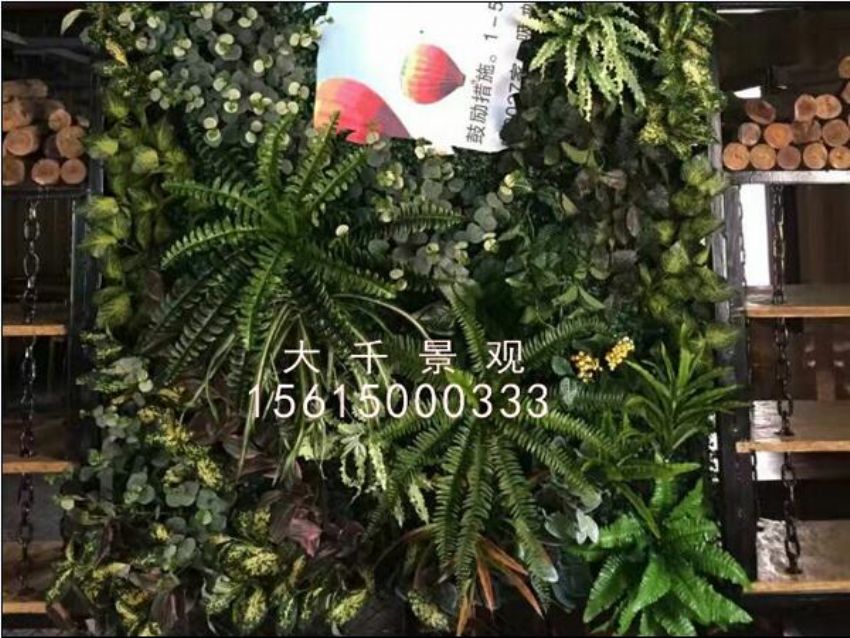 點擊查看詳細信息<br>標題：綠植墻 閱讀次數：1348