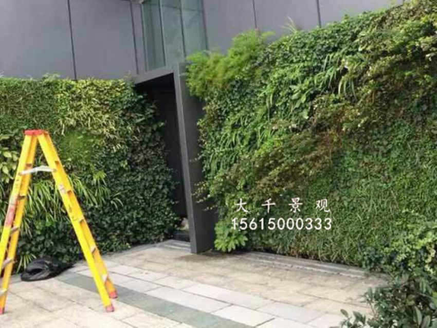 點擊查看詳細信息<br>標題：綠植墻 閱讀次數：1479