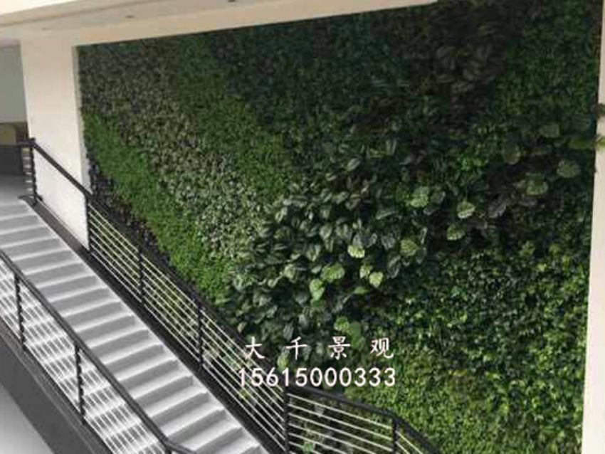 點擊查看詳細信息<br>標題：綠植墻 閱讀次數：1628