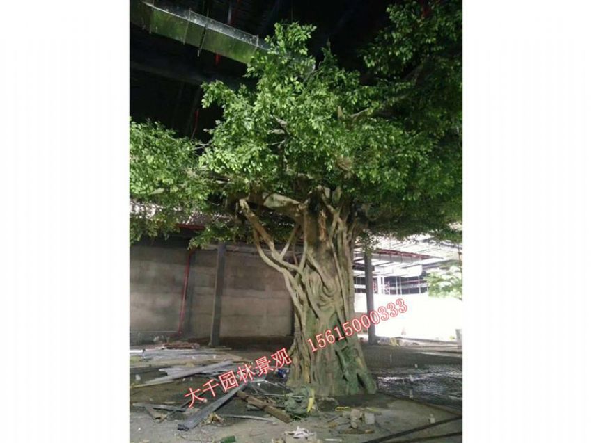 點擊查看詳細信息<br>標題：假樹 閱讀次數：2369